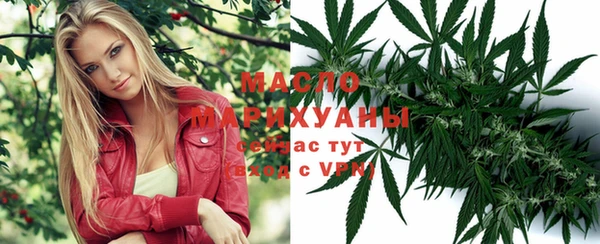 ешки Пересвет