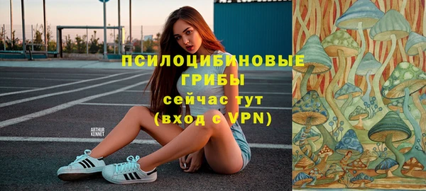 мдма Осташков