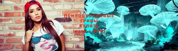 трава Туринск