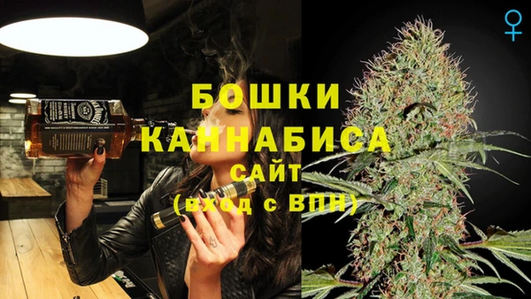 spice Гвардейск